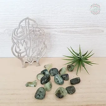 Prehnite Heal the Healer Tumbled Stones